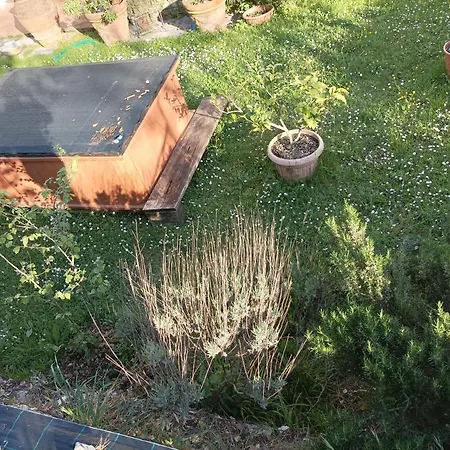 Lavanda E Ramerino Apartment Quarrata
