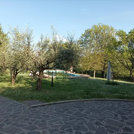 Lavanda E Ramerino Quarrata