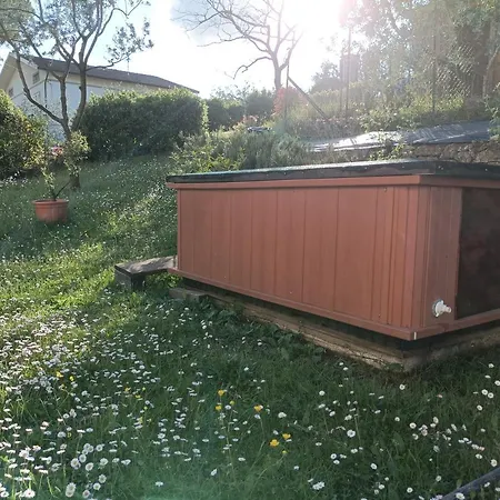 Lavanda E Ramerino Quarrata