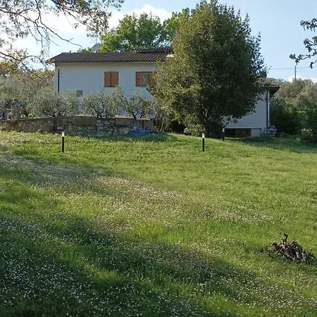 Lavanda E Ramerino
