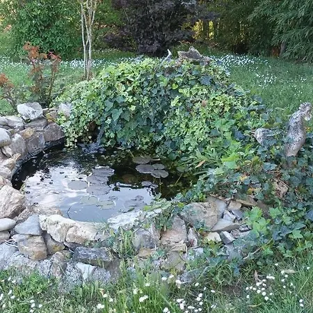 Lavanda E Ramerino *